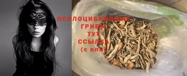 гашик Надым