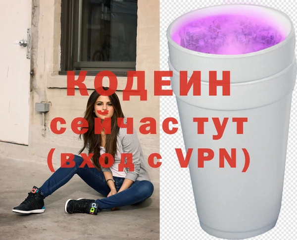 гашик Надым
