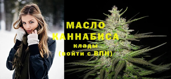 гашик Надым