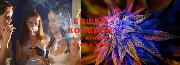 гашик Надым
