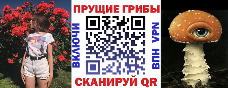 Купить закладки  Курильск  Псилоцибиновые грибы GOLDEN TEACHER 